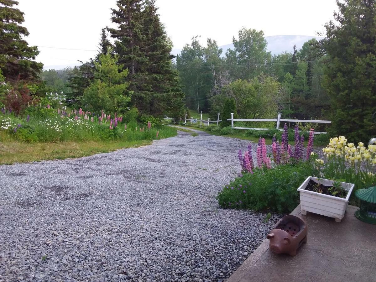 Auberge Du Saumonier Lodge Gaspé Exterior photo
